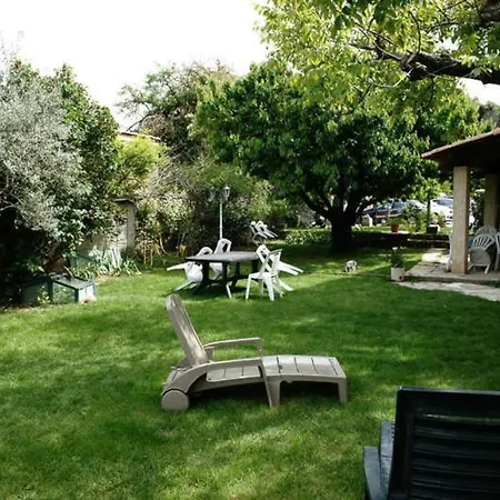 Clarisse, Piscine, Animaux, Pk *